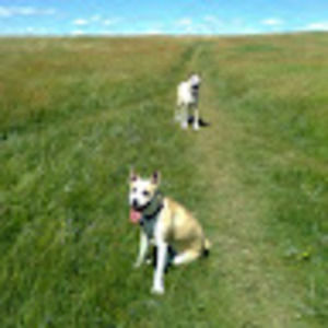 Meet your Posher, Lisa-marie